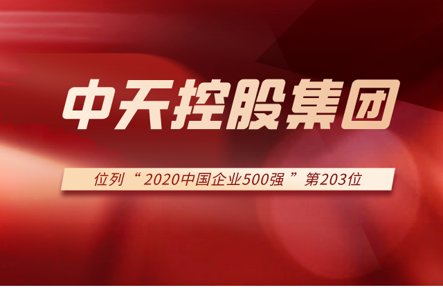 尊龙凯时集团列2020中国企业500强第203位！